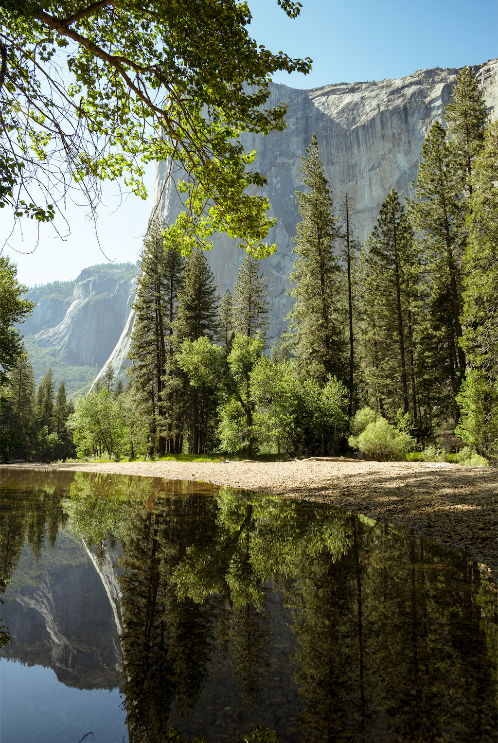 Reflections carved in light