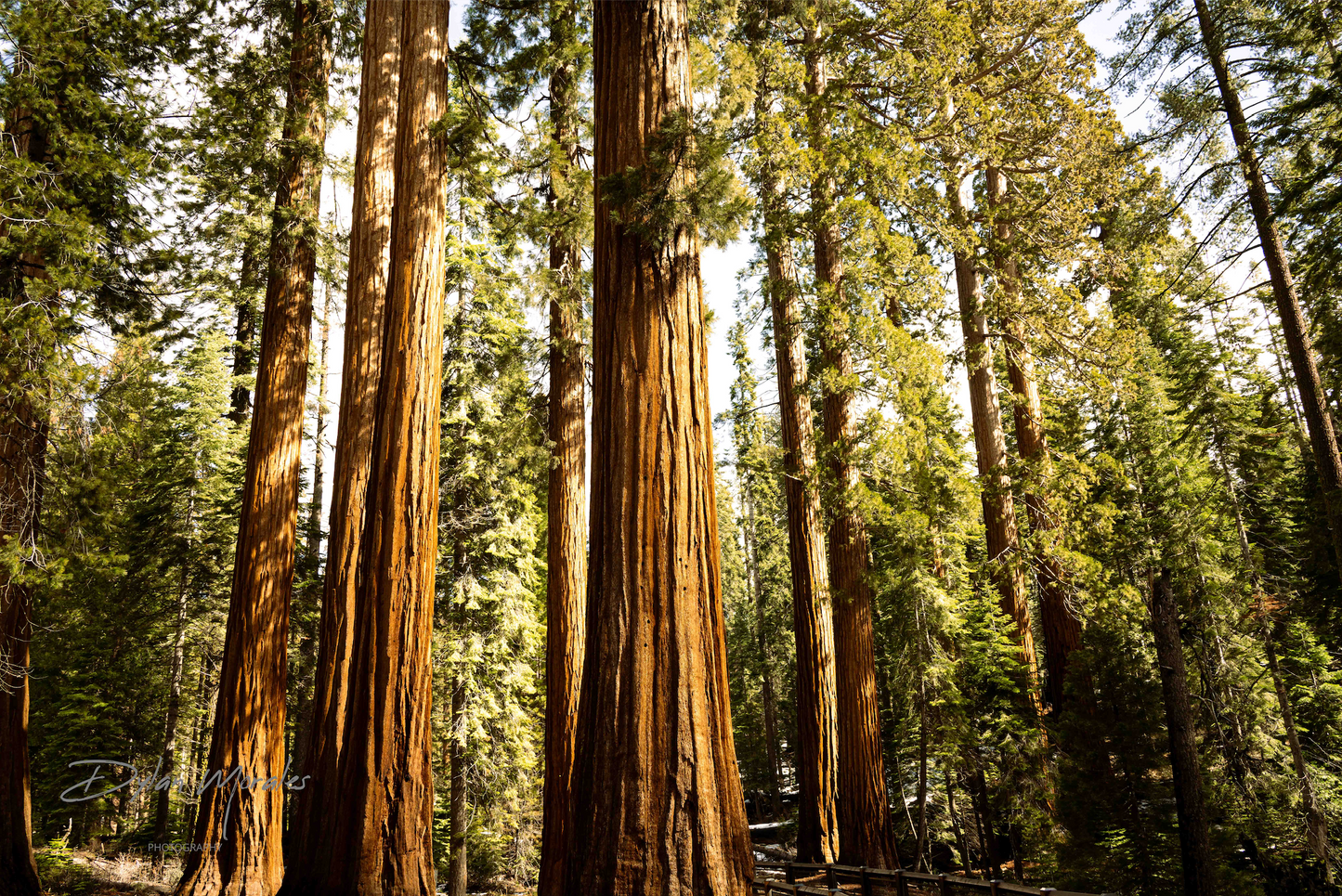 The Timeless Cluster