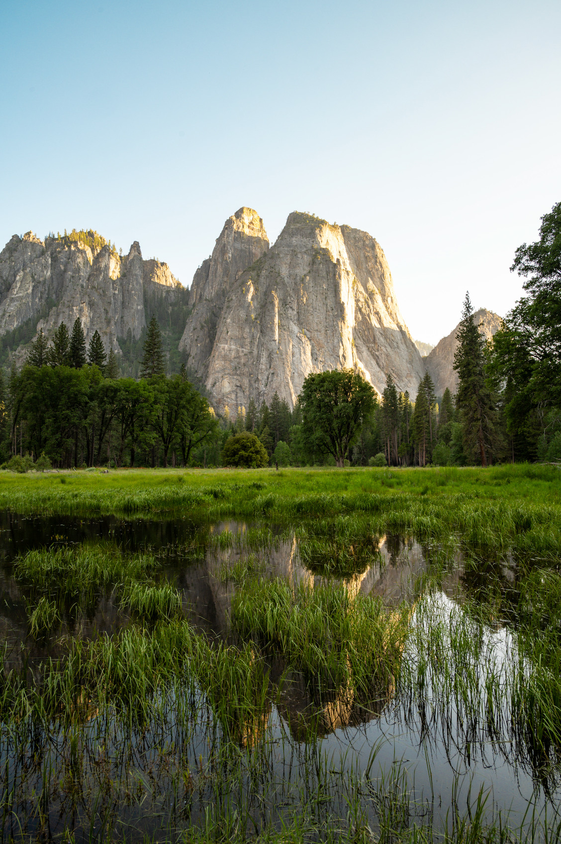 Reflections of beauty