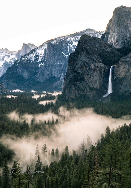Mystery beneath the fog